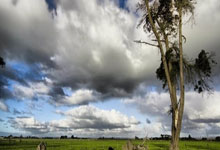 切尔西对阵水晶宫，这场英超对决有哪些看点和悬念？