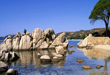 科斯塔斯·马诺拉斯,这位足坛铁卫有着怎样的职业生涯轨迹?